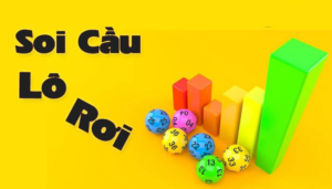 soi-cau-lo-roi
